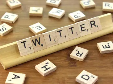 Twitter Twitter