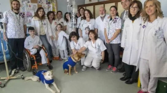 Garbanzo, Pedi y Pecas, los perros para ahuyentar el miedo Garbanzo, Pedi y Pecas, los perros para ahuyentar el miedo