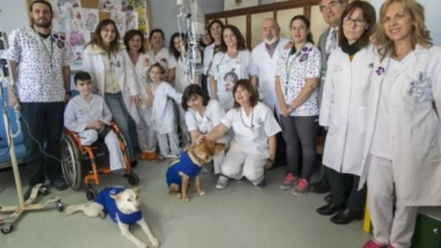 Garbanzo, Pedi y Pecas, los perros para ahuyentar el miedo Garbanzo, Pedi y Pecas, los perros para ahuyentar el miedo