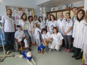 Garbanzo, Pedi y Pecas, los perros para ahuyentar el miedo Garbanzo, Pedi y Pecas, los perros para ahuyentar el miedo