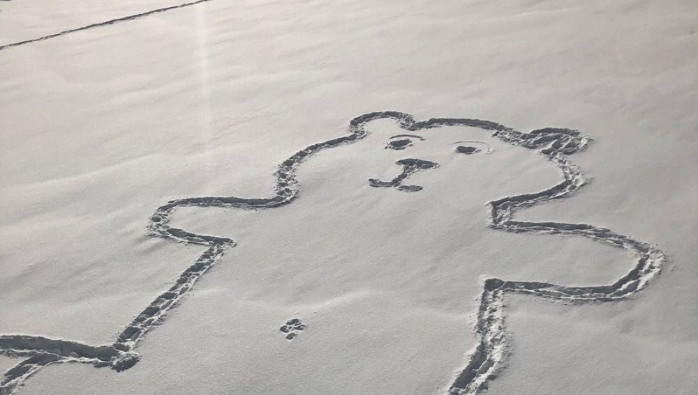 El enorme oso pintado en la nieve