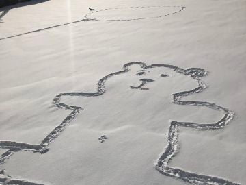 El enorme oso pintado en la nieve El enorme oso pintado en la nieve