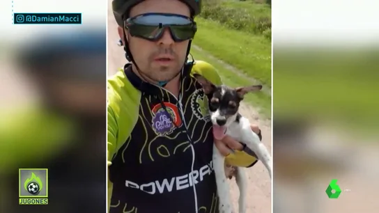 Ciclistaperritoabandonado Jugones Ciclistaperritoabandonado Jugones