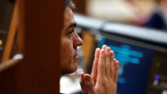 El presidente del Gobierno, Pedro Sánchez, en el Congreso El presidente del Gobierno, Pedro Sánchez, en el Congreso