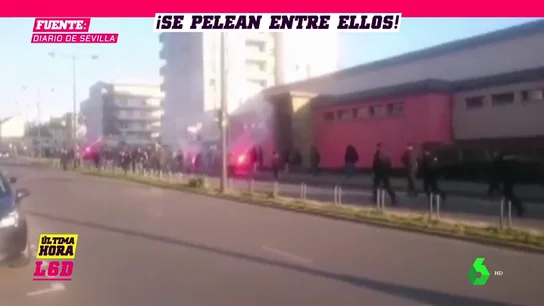 pelea_betis pelea_betis