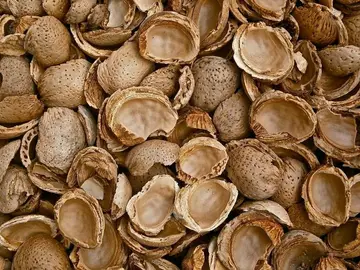 Cáscaras de almendra Cáscaras de almendra
