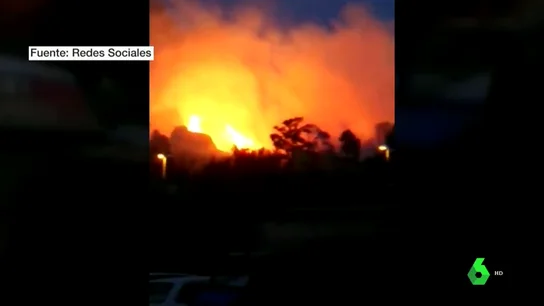 INCENDIO PALMA INCENDIO PALMA
