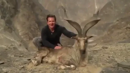 Un cazador estadounidense paga 100.000 euros para matar una cabra pakistaní en peligro de extinción y se jacta de ello Un cazador estadounidense paga 100.000 euros para matar una cabra pakistaní en peligro de extinción y se jacta de ello