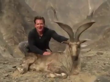 Un cazador estadounidense paga 100.000 euros para matar una cabra pakistaní en peligro de extinción y se jacta de ello Un cazador estadounidense paga 100.000 euros para matar una cabra pakistaní en peligro de extinción y se jacta de ello