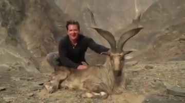 Un cazador estadounidense paga 100.000 euros para matar una cabra pakistaní en peligro de extinción y se jacta de ello