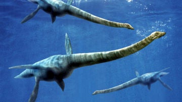 Imagen de archivo de un plesiosaurio