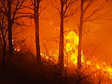 Imagen de un incendio provocado en Cantabria Imagen de un incendio provocado en Cantabria