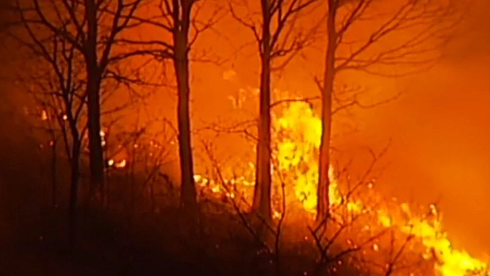 Imagen de un incendio provocado en Cantabria
