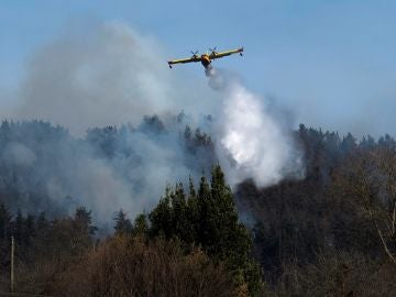 Imagen de un hidroavión en un incendio de Cantabria