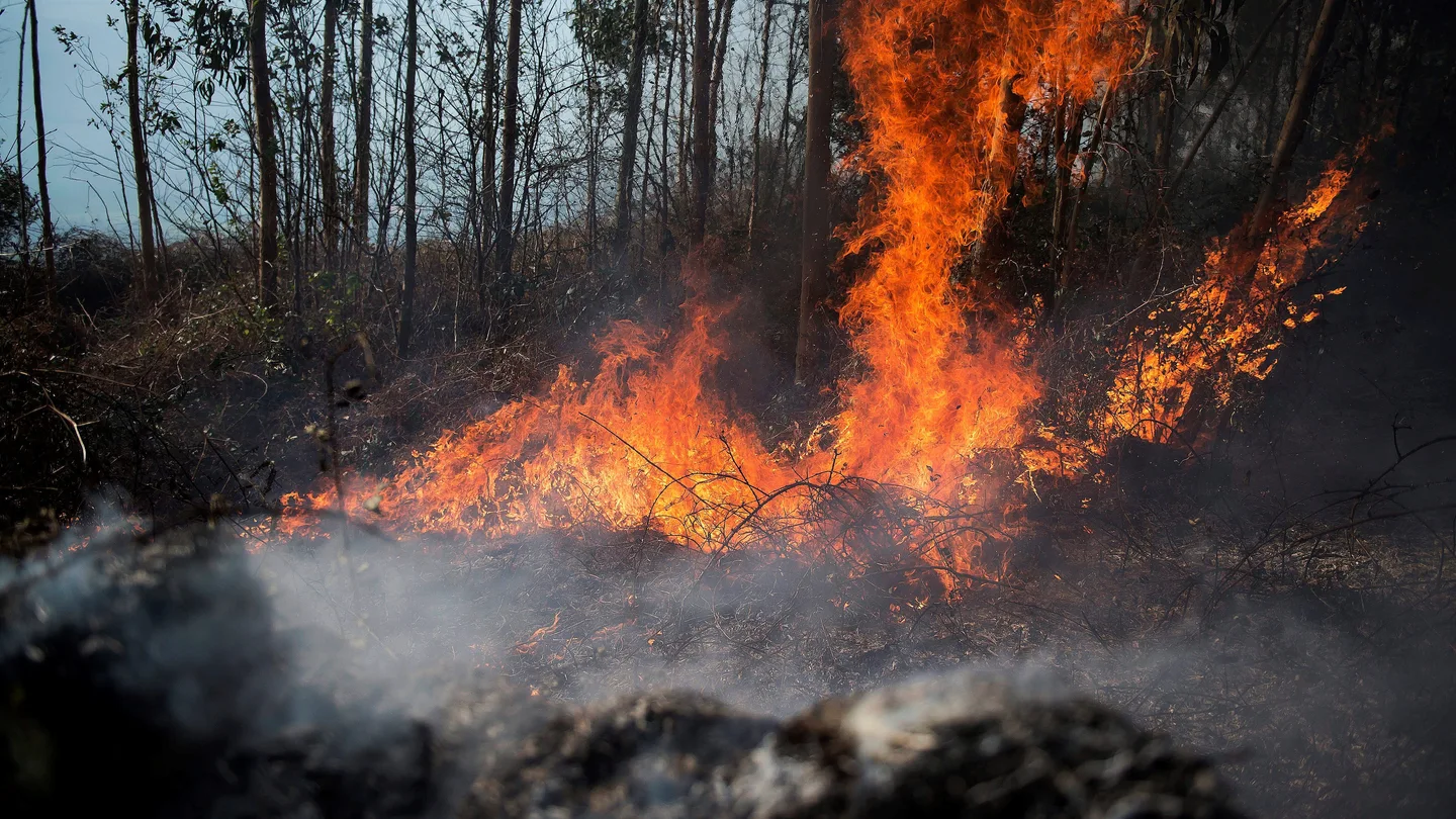 Medios aéreos se suman a la extinción del incendio de Ramales (Cantabria) Medios aéreos se suman a la extinción del incendio de Ramales (Cantabria)