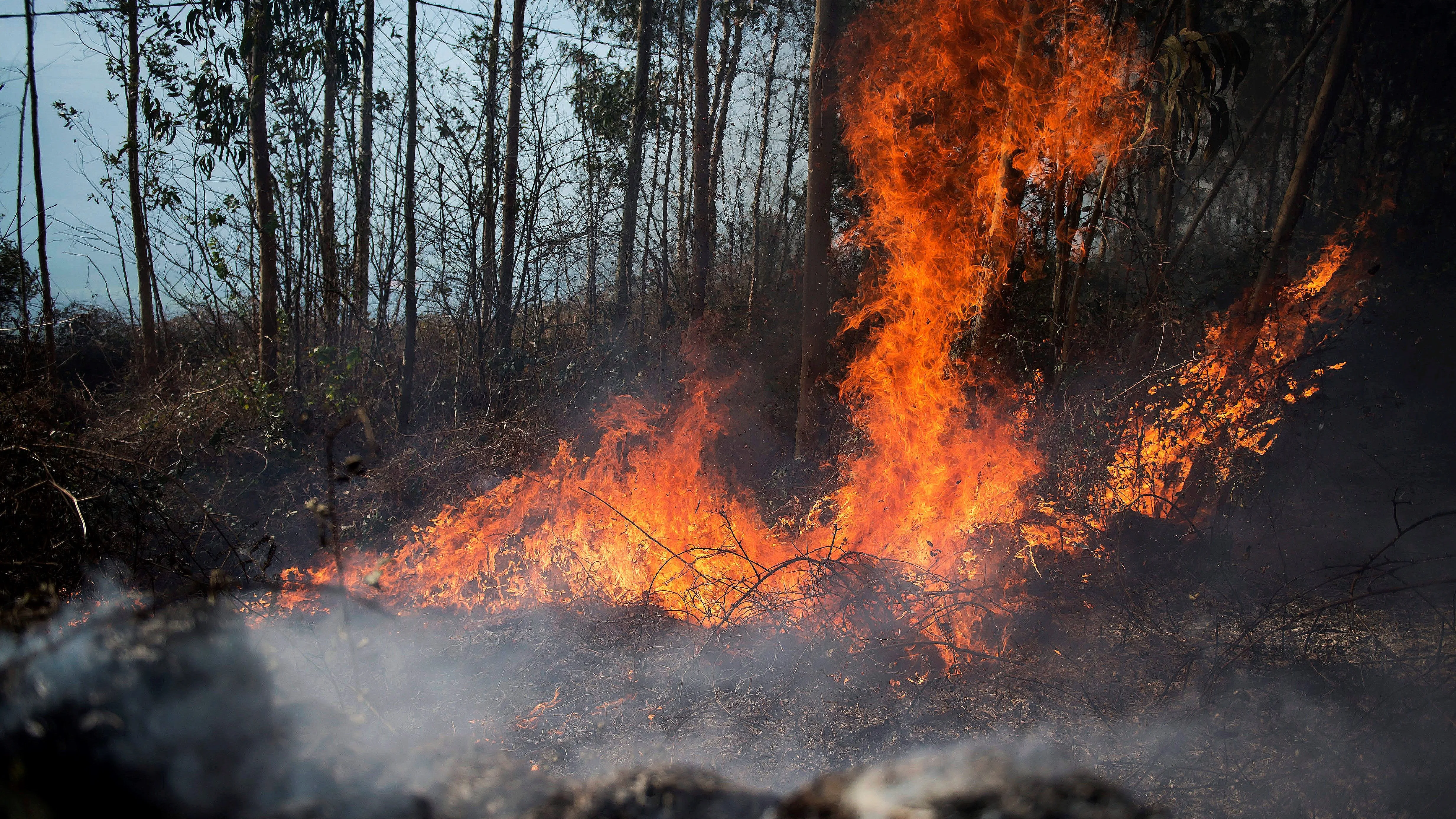 Medios aéreos se suman a la extinción del incendio de Ramales (Cantabria)