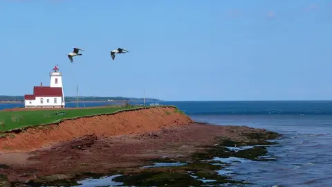 Isla del Príncipe Isla del Príncipe