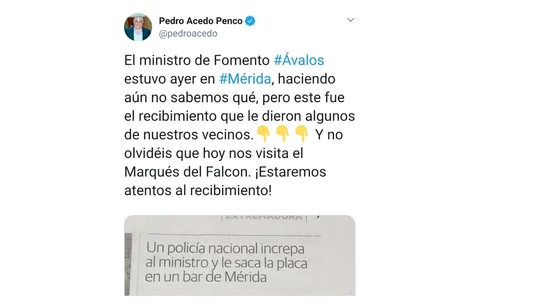 Tuit del diputado del PP, Pedro Acedo. Tuit del diputado del PP, Pedro Acedo.