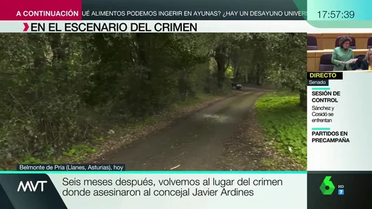 Expediente Marlasca vuelve al escenario del crimen de Llanes Expediente Marlasca vuelve al escenario del crimen de Llanes