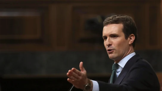 El presidente del PP, Pablo Casado. El presidente del PP, Pablo Casado.