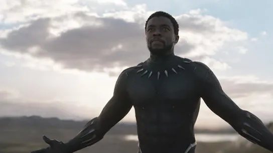 Black Panther Black Panther