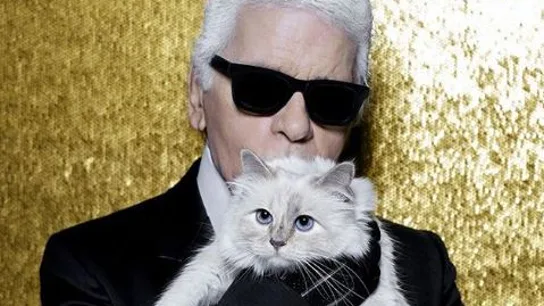 Choupette y Karl Lagerfeld Choupette y Karl Lagerfeld