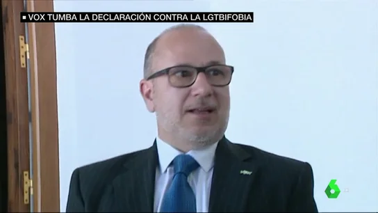 Vox se retrata en el Senado: impide que salga adelante una declaración contra la LGTBIfobia Vox se retrata en el Senado: impide que salga adelante una declaración contra la LGTBIfobia