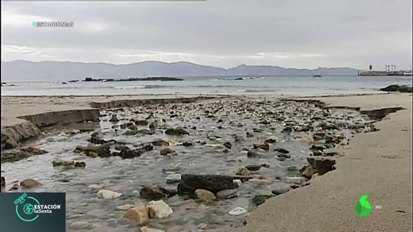 El debate de las playas artificiales: ¿Un ataque al ecosistema o un lugar más accesible? El debate de las playas artificiales: ¿Un ataque al ecosistema o un lugar más accesible?