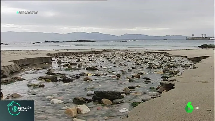 El debate de las playas artificiales: ¿Un ataque al ecosistema o un lugar más accesible?