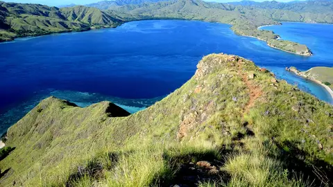 Komodo Komodo