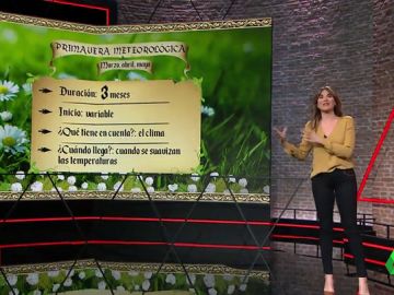 primavera primavera