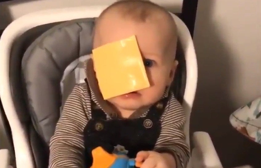 Cheesed Challenge': el polémico reto viral que consiste en tirar lochas de  queso a bebés