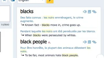 Captura de pantalla del diccionario web Reverso al buscar la palabra 'negros'