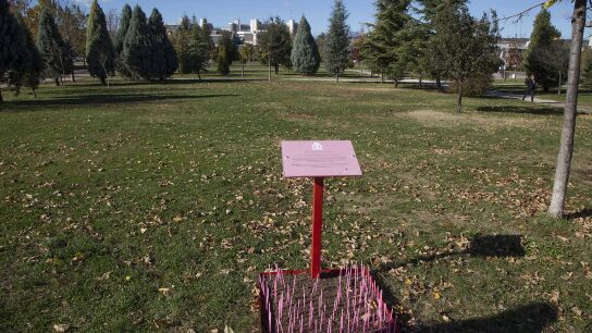 El "monumento" a la "no deseada" con la imagen de ni&ntilde;a con dos coletas pero sin rostro
