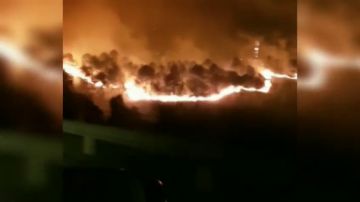 VÍDEO: Graban a pocos metros de distancia el incendio declarado en Muskiz