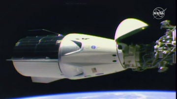 La capsula SpaceX