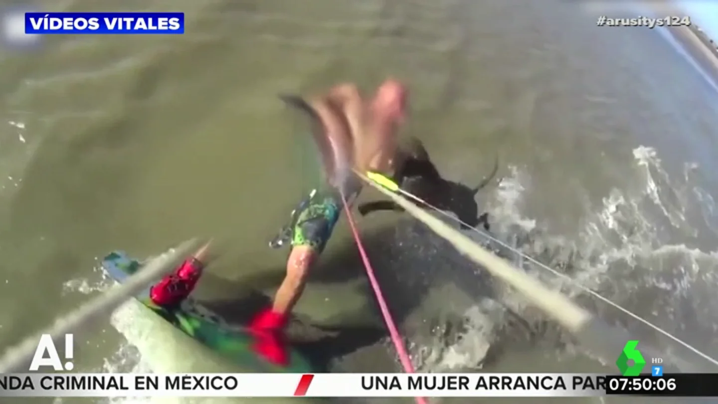 El impactante ataque de un perro a un joven mientras surfeaba cerca de la costa El impactante ataque de un perro a un joven mientras surfeaba cerca de la costa