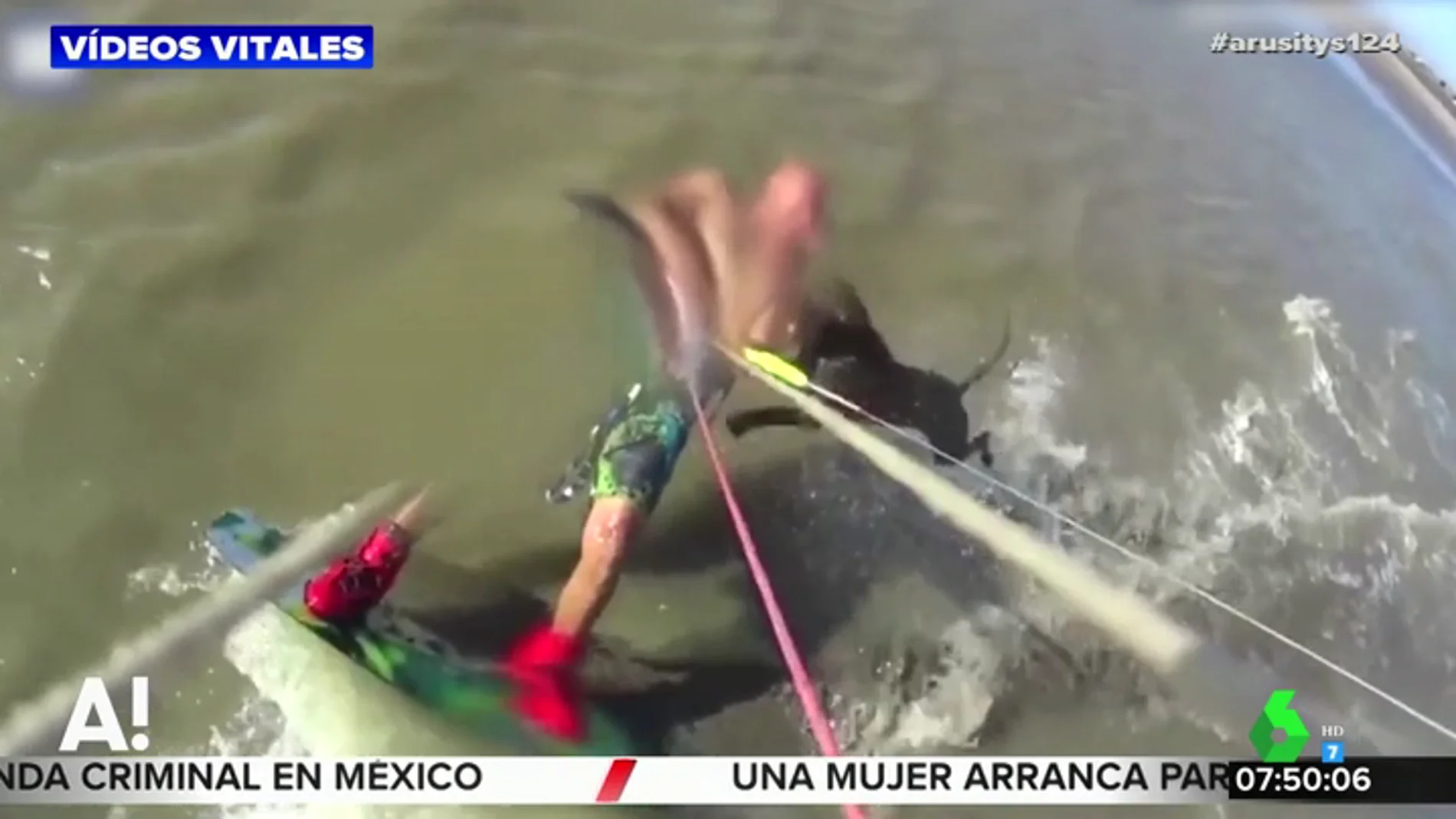 El impactante ataque de un perro a un joven mientras surfeaba cerca de la costa