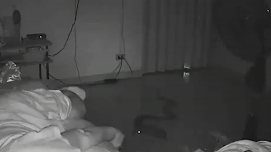 Una serpiente venenosa muerde a una anciana mientras dormía Una serpiente venenosa muerde a una anciana mientras dormía