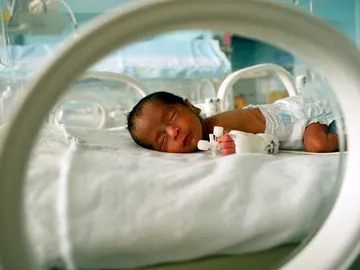 Tan solo hay registrados los casos de cuatro bebés que han logrado sobrevivir con tan poco tiempo de gestión Tan solo hay registrados los casos de cuatro bebés que han logrado sobrevivir con tan poco tiempo de gestión