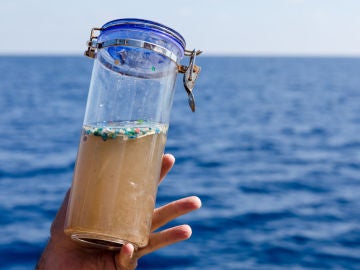Microplásticos recogidos en el mar Microplásticos recogidos en el mar