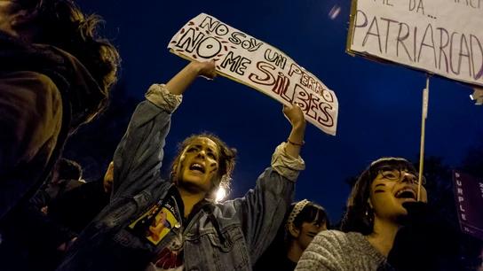 Dos manifestantes sujetan pancartas durante el 8M Dos manifestantes sujetan pancartas con los eslóganes "No soy un perro, no me silbes" y "El patriarcado me da patriarcadas"