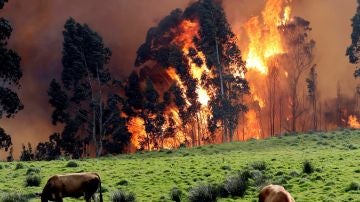 Incendios forestales en Asturias