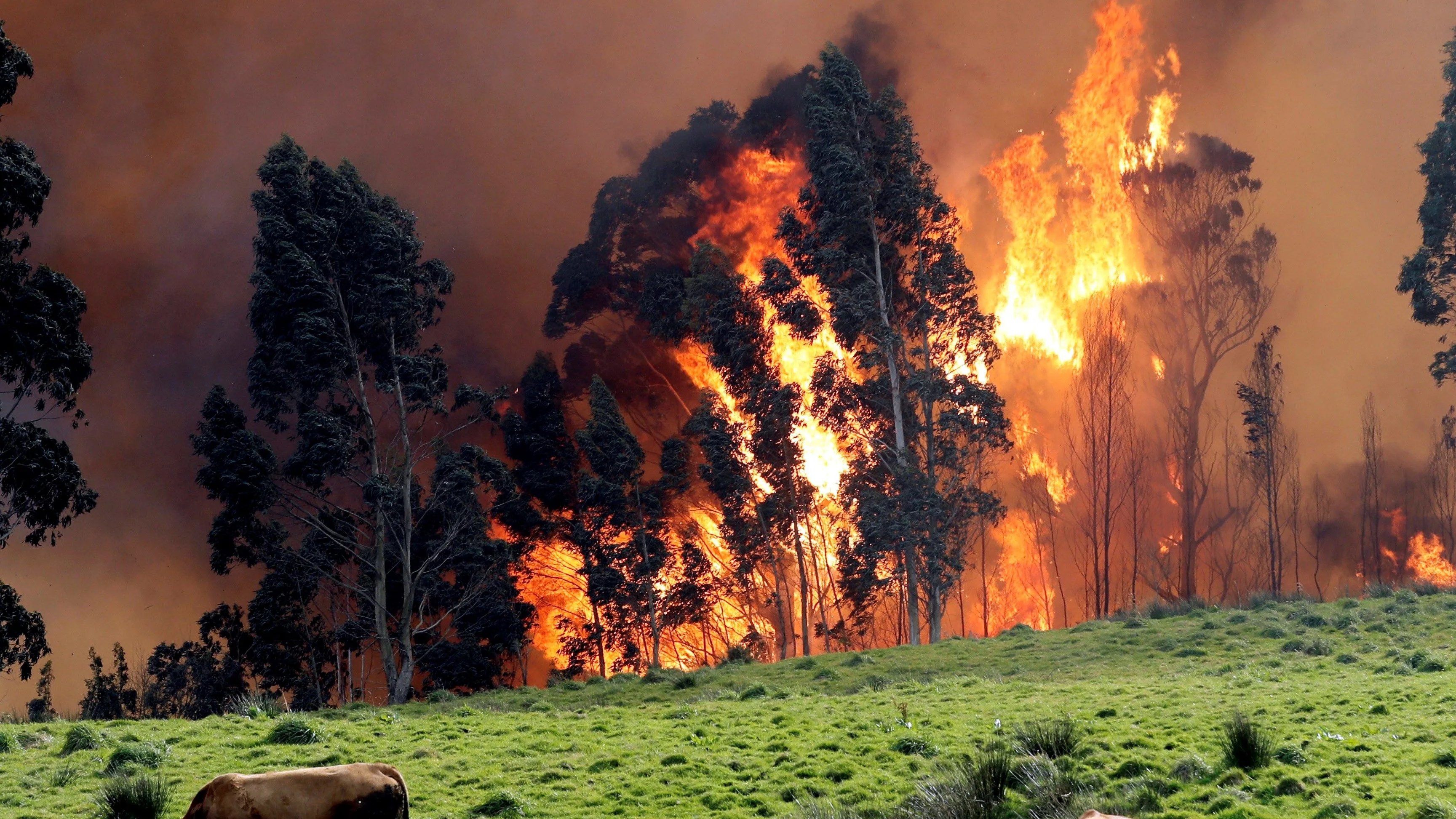 Incendios forestales en Asturias