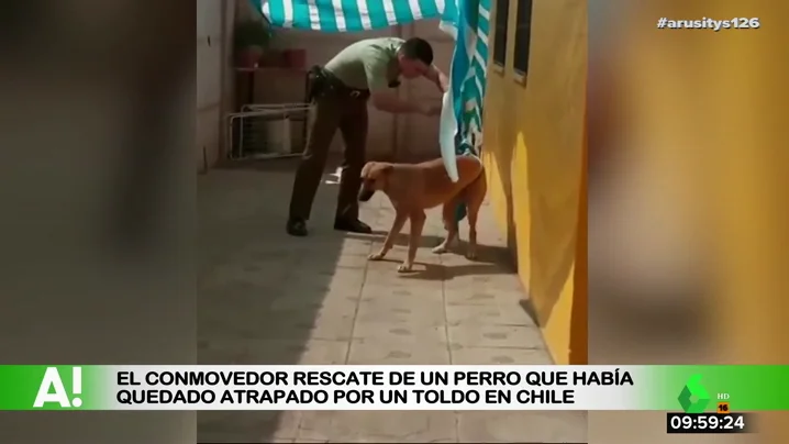 Rescate de un perro en Chile