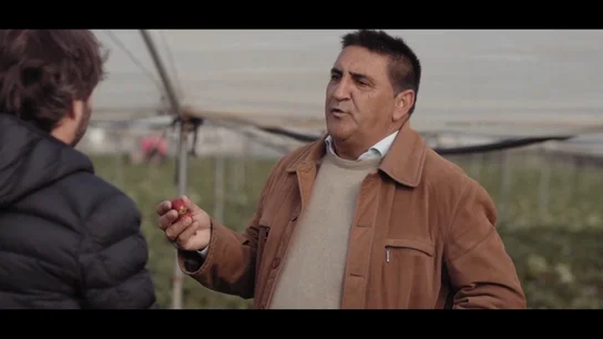 El eufemismo de un empresario fresero para blanquear los castigos a las temporeras: "Es arresto psicológico" El eufemismo de un empresario fresero para blanquear los castigos a las temporeras: "Es arresto psicológico"