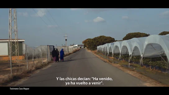 El terrorífico testimonio de una temporera El terrorífico testimonio de una temporera