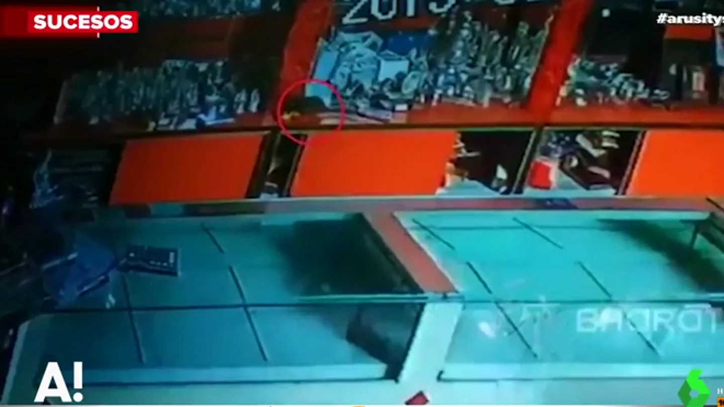 El vídeo viral de una rata robando pendientes con diamantes en una joyería El vídeo viral de una rata robando pendientes con diamantes en una joyería