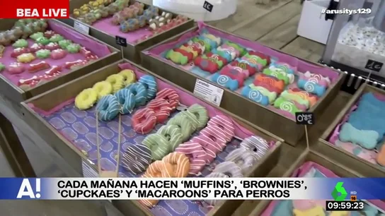 Con bocaditos de fruta, tartas, palomitas y brownies: así es 'Miguitas', el espacio dedicado a la repostería para animales Con bocaditos de fruta, tartas, palomitas y brownies: así es 'Miguitas', el espacio dedicado a la repostería para animales