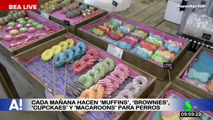 Con bocaditos de fruta, tartas, palomitas y brownies: así es 'Miguitas', el espacio dedicado a la repostería para animales